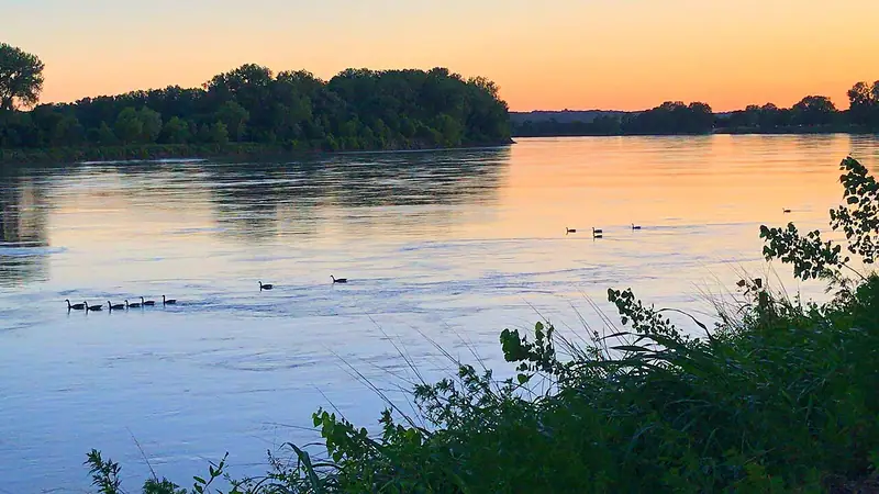 Canada geese on the Missouri River at sunset near English Landing Park
