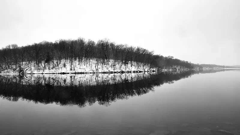 Bare trees reflected in the lake at Shawnee Mission Park